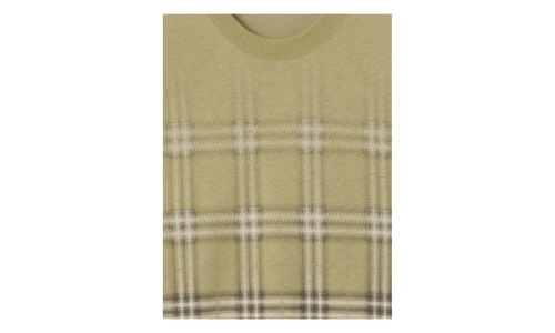 Gradient Check Cotton T-shirt "Glade Green" 8119023