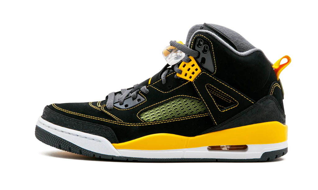 Jordan Spiz'ike 315371 030
